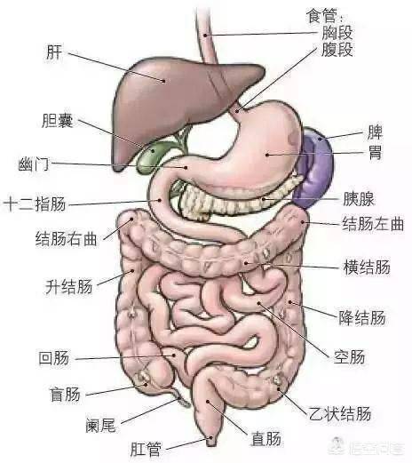 疑难杂症