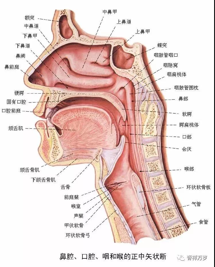 微信图片_20190102112327