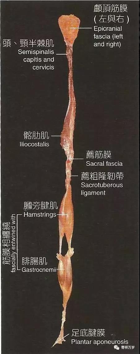 微信图片_20190124150104